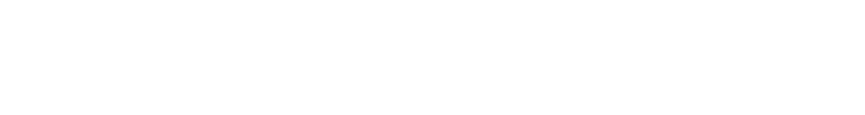 DONG FENG